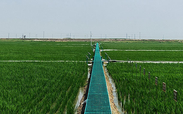 永磁無刷直流電機(jī)驅(qū)動(dòng)器復(fù)位方法(直流無刷電機(jī)驅(qū)動(dòng)器維修)
